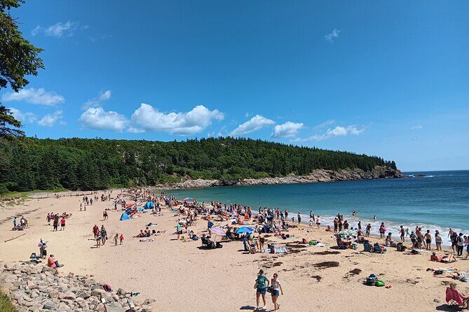 Acadia Woody's Utmost Coast 3 Hour Driving Tour - Introduction