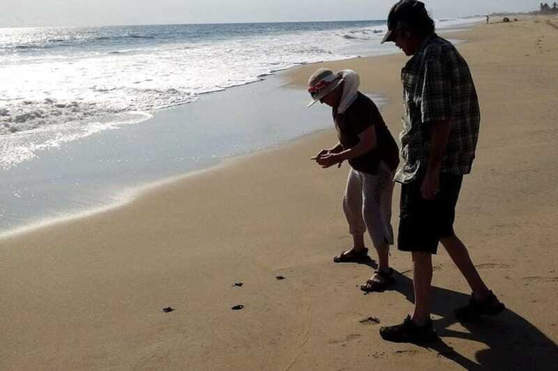 -Acapulco: 6hr City Tour & Turtle Release & High Diver Show - Final Thoughts