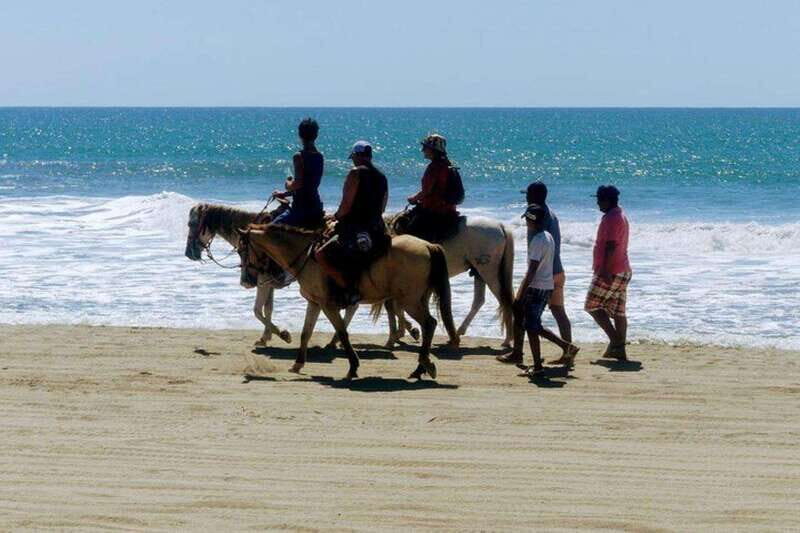 -Acapulco: Horseback Ride Exp. Crocodile Farm, and City Tour - The Experience in Detail