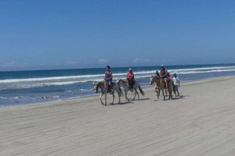 -Acapulco: Horseback Ride Exp. Crocodile Farm, and City Tour - Final Thoughts
