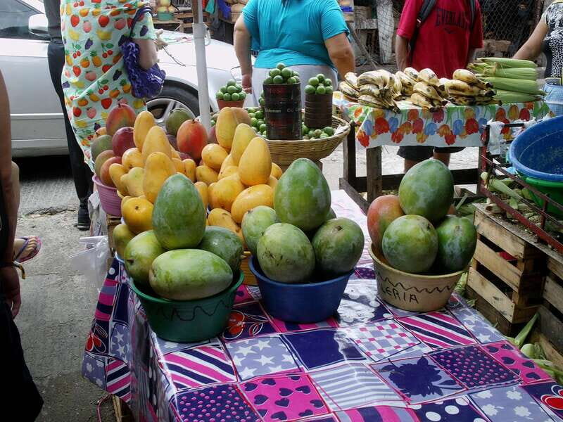 .Acapulco Market Hands On Mex Cooking Class Mezcal & Coffee - Final Thoughts: Who Will Love This Tour?