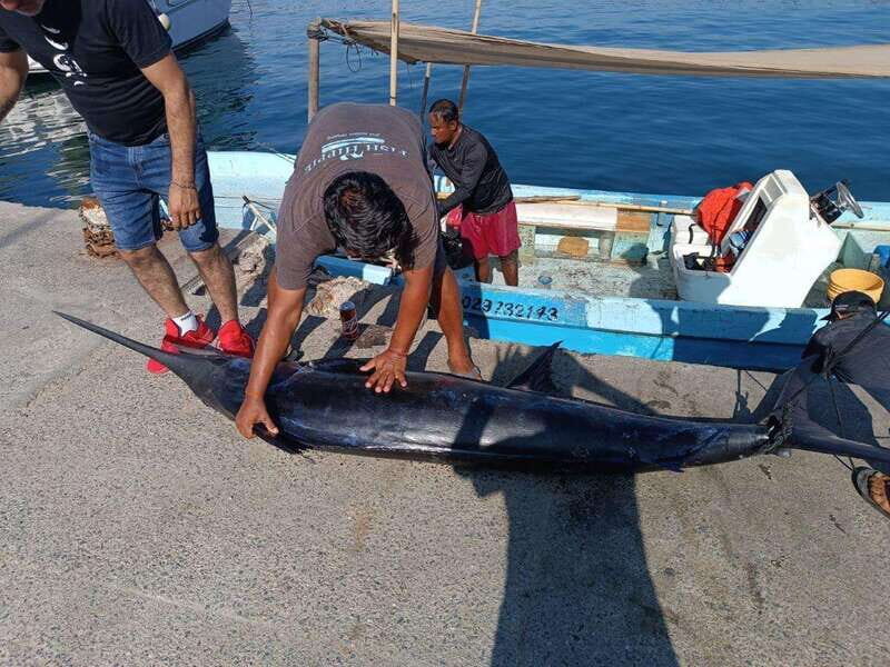 Acapulco: Private Fishing Experience - An Honest Breakdown of the Experience