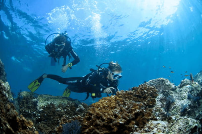 Acapulco: Scuba Diving in Roqueta Island - Final Thoughts