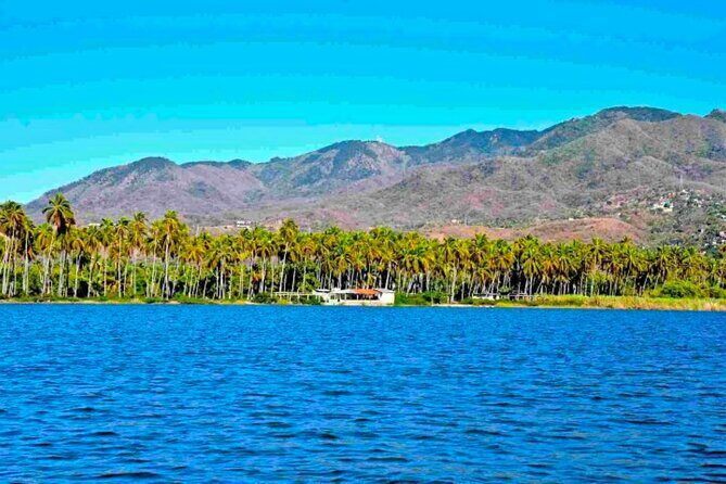Acapulco Shore Excursion: Coyuca Lagoon Cruise - Why Choose the Coyuca Lagoon Cruise?