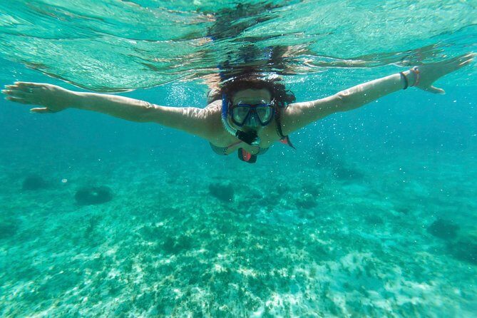 Acapulco Snorkeling Tour - An In-Depth Look at the Tour Experience