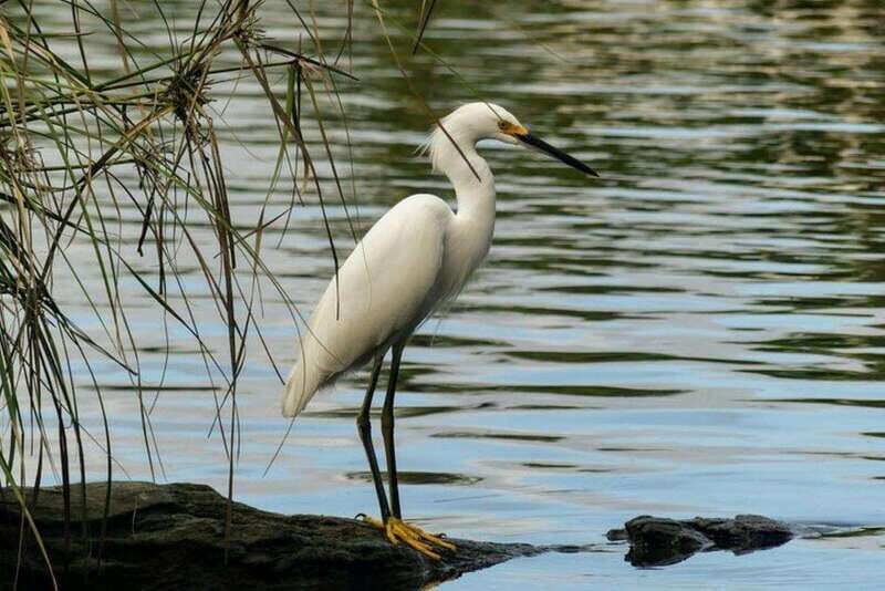 -Acapulco:3 Palos Lagoon Boat Ride& Crocodile Farm Exprience - The Itinerary in Detail