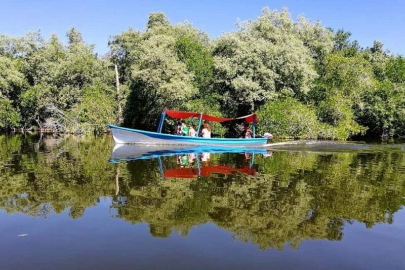 -Acapulco:Turtle Release Crocodile Farm & Horseback Ride Exp - Key Points