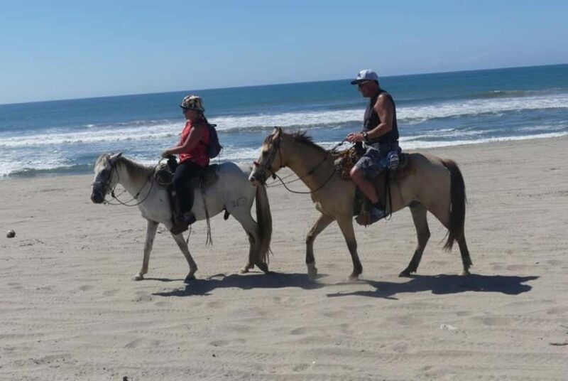 -Acapulco:Turtle Release Crocodile Farm & Horseback Ride Exp - Insights from Participants