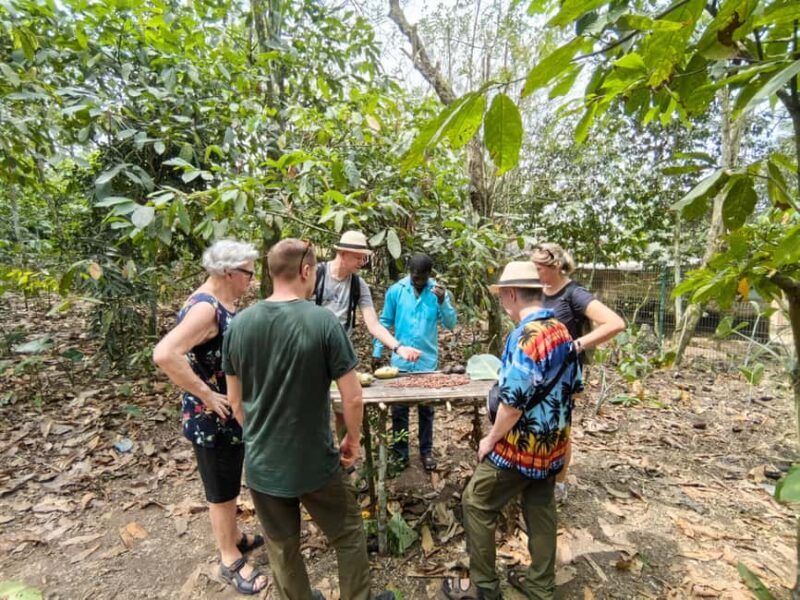 Accra: Aburi Botanical Garden, Cocoa Farm, and Waterfall - Key Points
