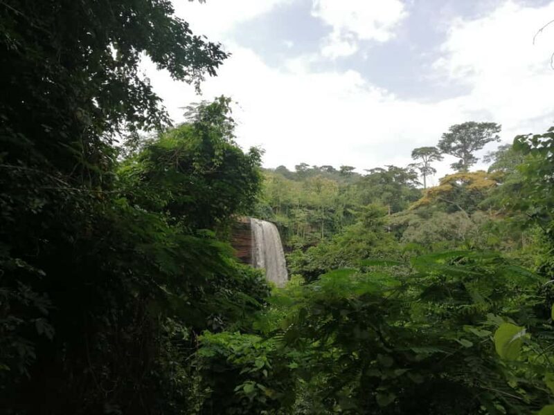 Accra: Aburi Botanical Gardens and Waterfalls Private Tour - Explore Ghana’s Natural Treasures with the Aburi Botanical Gardens and Waterfalls Private Tour
