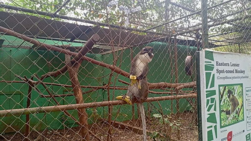 Accra City Tour with Wildlife Experience - Key Points
