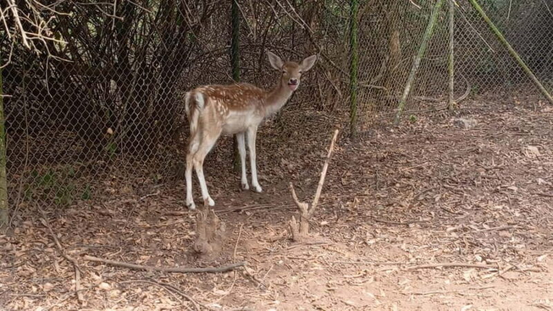 Accra City Tour with Wildlife Experience - FAQ