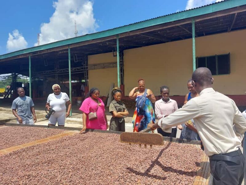 Accra: Cocoa Farm and Chocolate Factory Tour with Pickup - Authenticity and Value