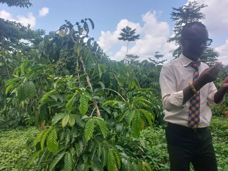 Accra: Cocoa Farm and Chocolate Factory Tour with Pickup - FAQs