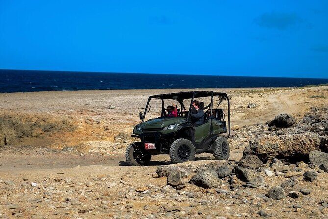 Action-Packed Half Day Aruba UTV Tour and Cave Pool - FAQs
