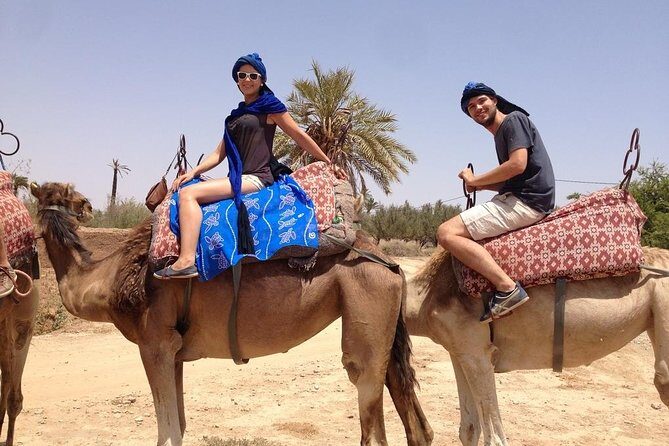 activities in Marrakech camel ride tour in palm grove - An Authentic Taste of Morocco’s Desert Atmosphere