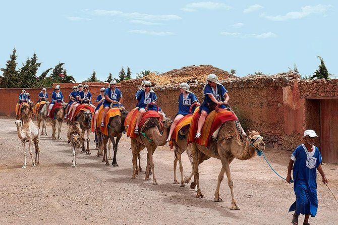 activities in Marrakech camel ride tour in palm grove - FAQs
