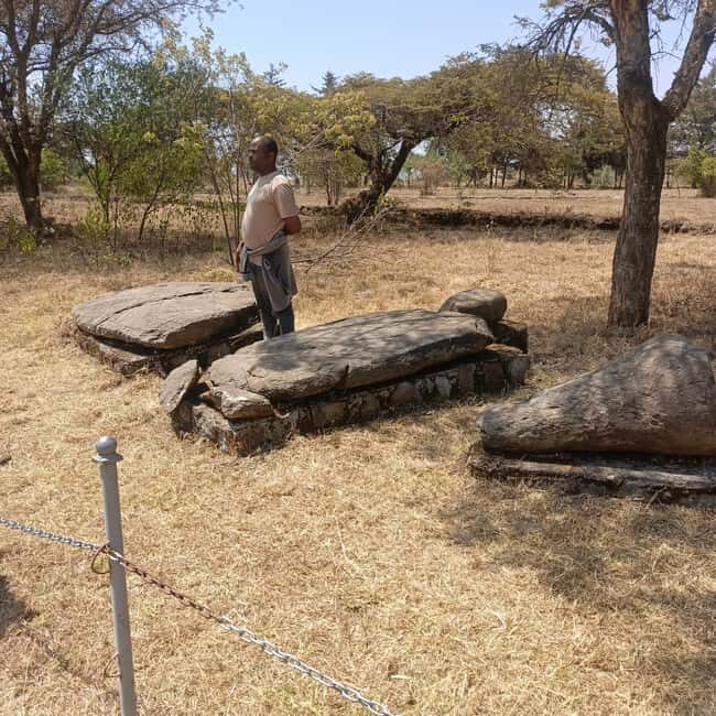 Adadi Mariam & Tiya Stelae Day Trip - Key Points