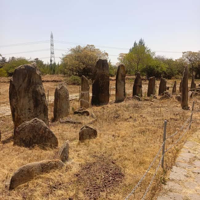 Adadi Mariam & Tiya Stelae Day Trip - Final Thoughts: Who Should Take This Tour?