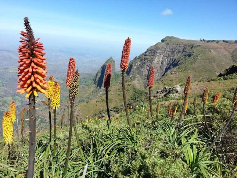 Addis Ababa: 10-Day Simien Mountains & Lalibela Tour - Key Points