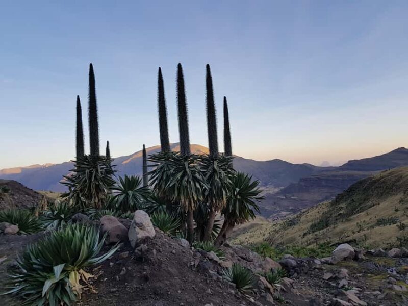Addis Ababa: 10-Day Simien Mountains & Lalibela Tour - FAQs