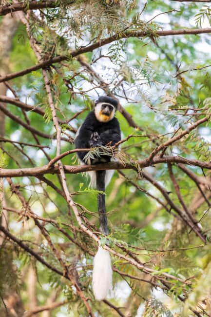 Addis Ababa: 2-Day Awassa, Lake Ziway & Wondo Genet Tour - Why This Tour Is Worth Considering