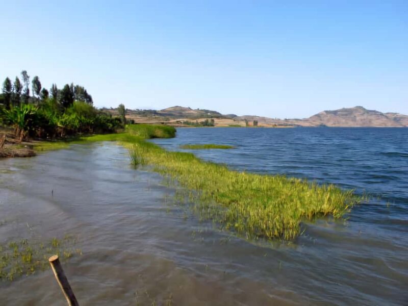 Addis Ababa: 2-Day Awassa, Lake Ziway & Wondo Genet Tour - Final Thoughts