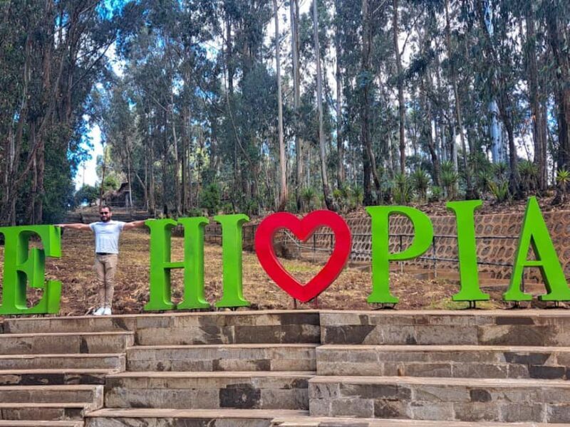 Addis Ababa Essentials: Flexible Full-Day City Sightseeing - Who Will Enjoy This Tour?