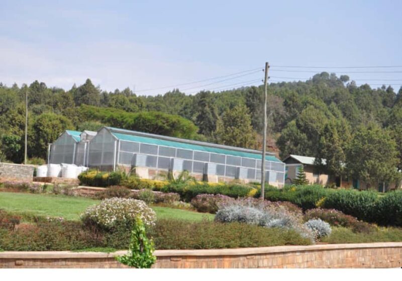 Addis Ababa: Gulele Botanic Garden with Hotel Pickup - Key Points