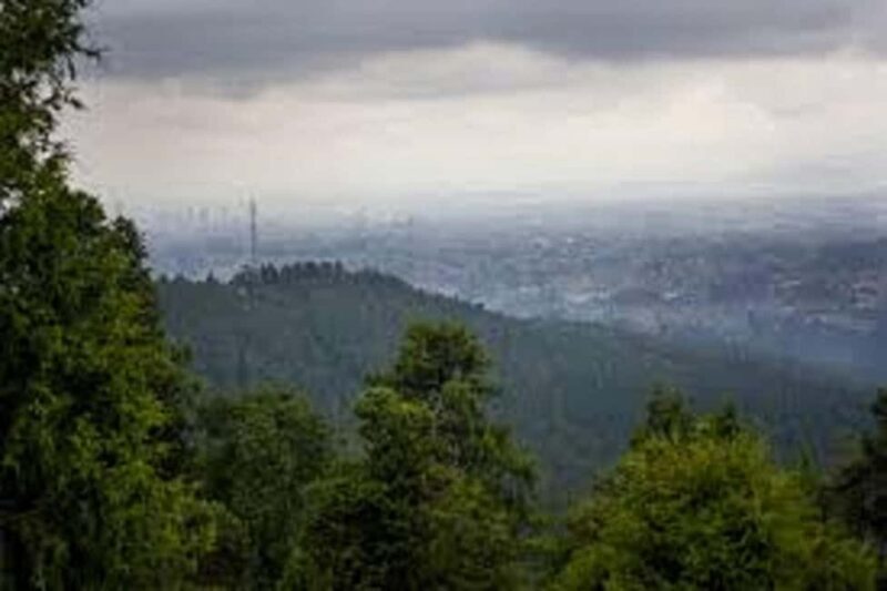 Addis Ababa: Gulele Botanic Garden with Hotel Pickup - What to Expect from Your Visit