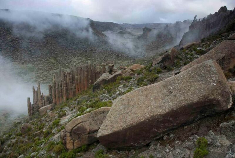 Addis Ababa: Harar, Bale Mountains, and Awash 8-Day Tour - A Practical Guide to the 8-Day Ethiopia Adventure