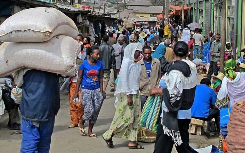 Addis Ababa: Mercato Market Guided Tour with Coffee Tasting - An In-Depth Look at the Mercato Guided Tour