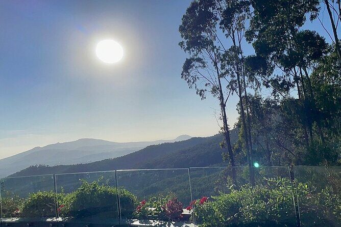 Addis Ababa +Mount Entoto View Point,Museums Palace Market Tours - Final Thoughts