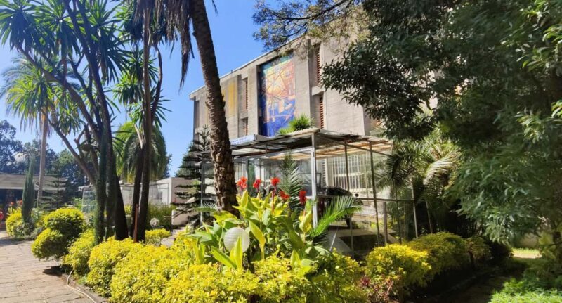 Addis Ababa Museums Tour - A Closer Look at the Addis Ababa Museums Tour