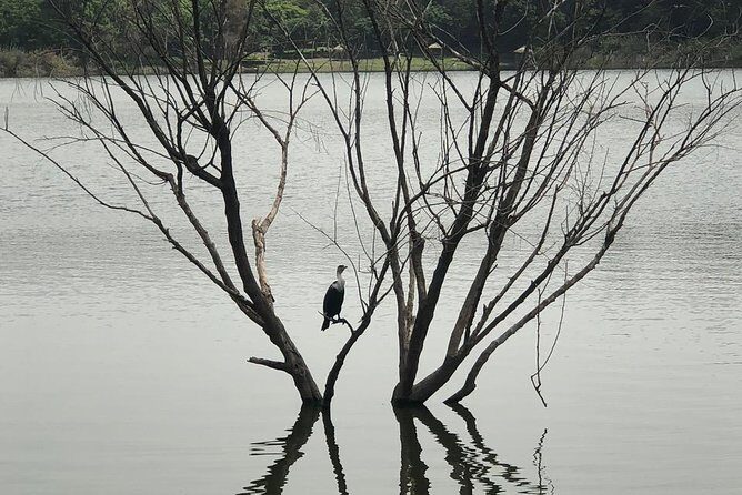 Addis City Tour & Crater Lakes excursions in Debreziet! - The Sum Up