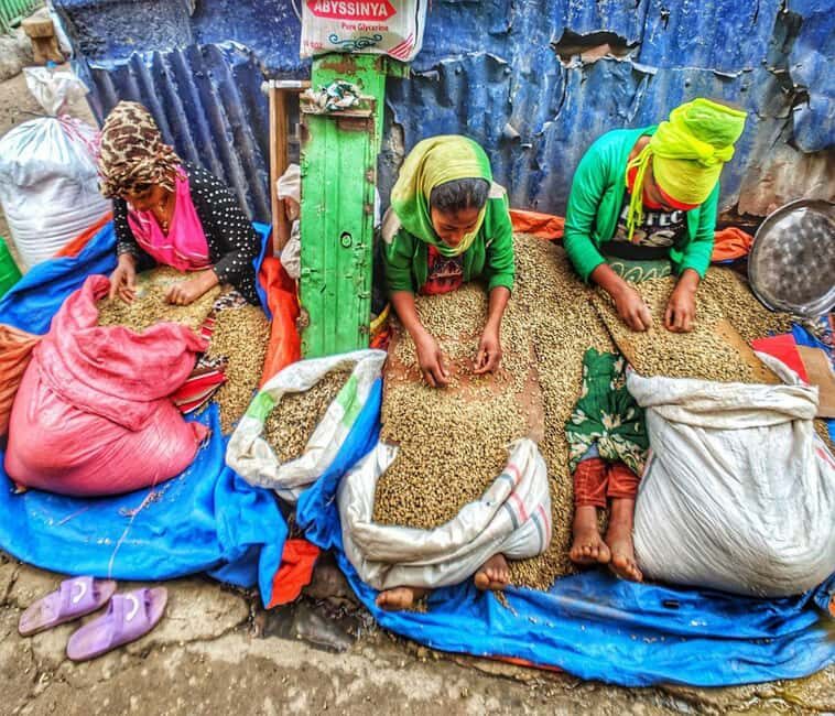 "Addis Uncovered: Culture, Views & Everyday Vibes - Pricing and Value