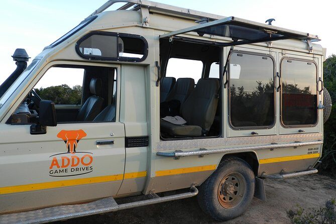 Addo Elephant 5 hour Morning Safari. - The Experience in Detail
