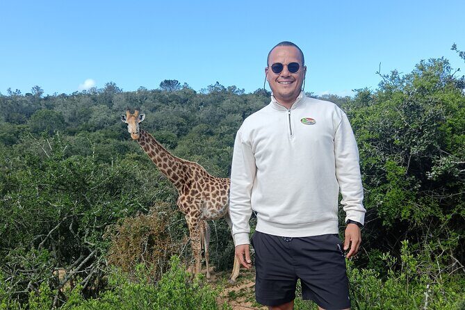 Addo Elephant National Park and Giraffe Walk Tracking Safari - Key Points