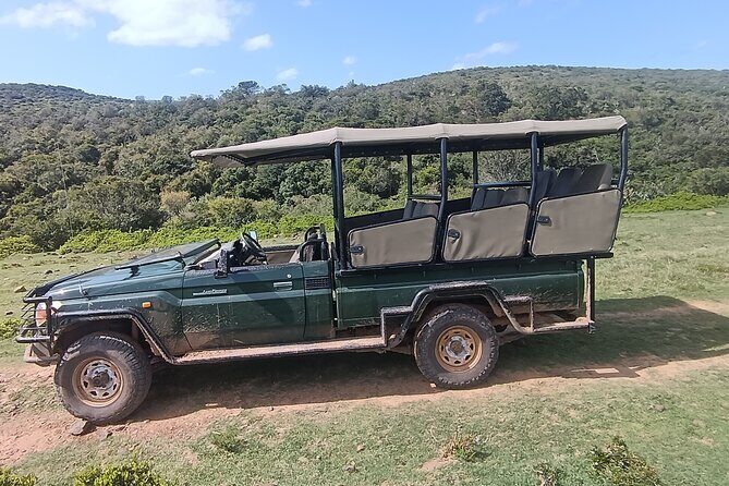 Addo Elephant National Park and Giraffe Walk Tracking Safari - Frequently Asked Questions