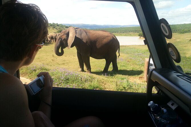 Addo Elephant National Park Tour - Full day of Wildlife Wonders - Frequently Asked Questions