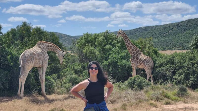 Addo Elephant Park and Giraffe Walk Full Day Safari - An Honest Look at the Safari Experience