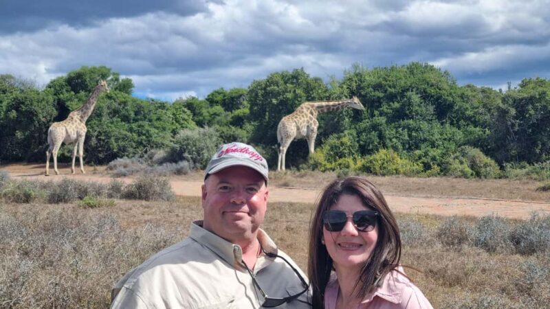 Addo Elephant Park and Giraffe Walk Private Full Day Safari - Key Points