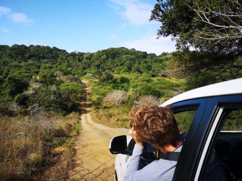 Addo Elephant Park: Big 7 Safari with Guide - FAQ