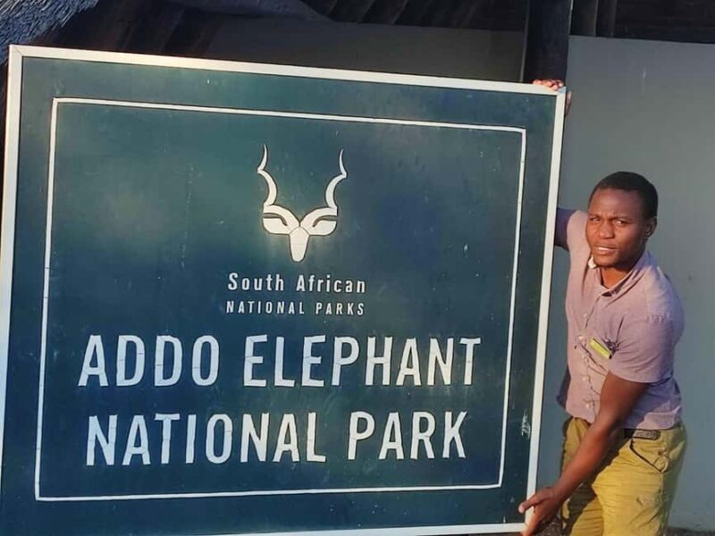 Addo Elephant Park Tours. Full Day - An Authentic Safari in the Eastern Cape