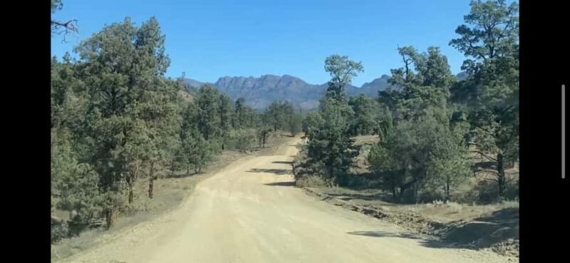 Adelaide: 3-Day 4WD Flinders Ranges and Clare Valley Tour - A Deep Dive into the Tour: What to Expect and Why It Matters