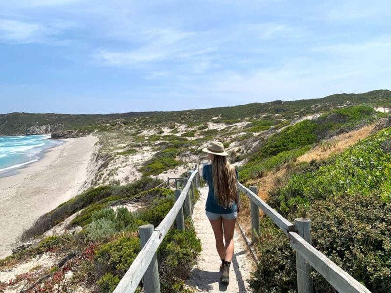 Adelaide: 3-Day Kangaroo Island Adventure Tour with Camping - An Overview of the 3-Day Kangaroo Island Adventure