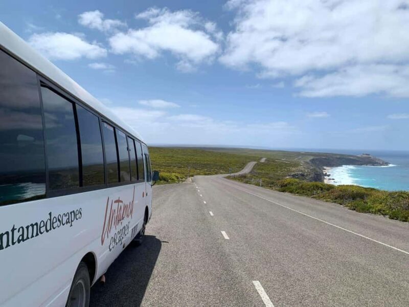 Adelaide: 3-Day Kangaroo Island Adventure Tour with Camping - Day 2: Wildlife and Natural Wonders