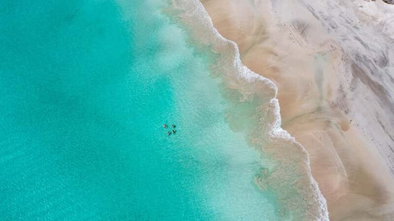 Adelaide: 3-Day Kangaroo Island Adventure Tour with Camping - Pricing and Value
