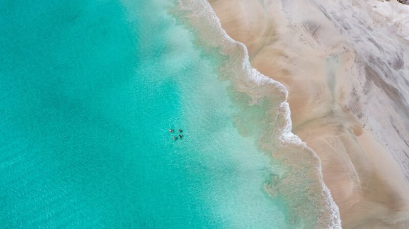 Adelaide: 3-Day Kangaroo Island Adventure Tour with Camping - Final Thoughts