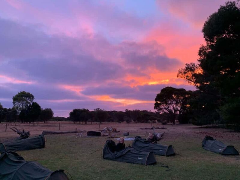Adelaide: 3-Day Kangaroo Island Adventure Tour with Camping - FAQ